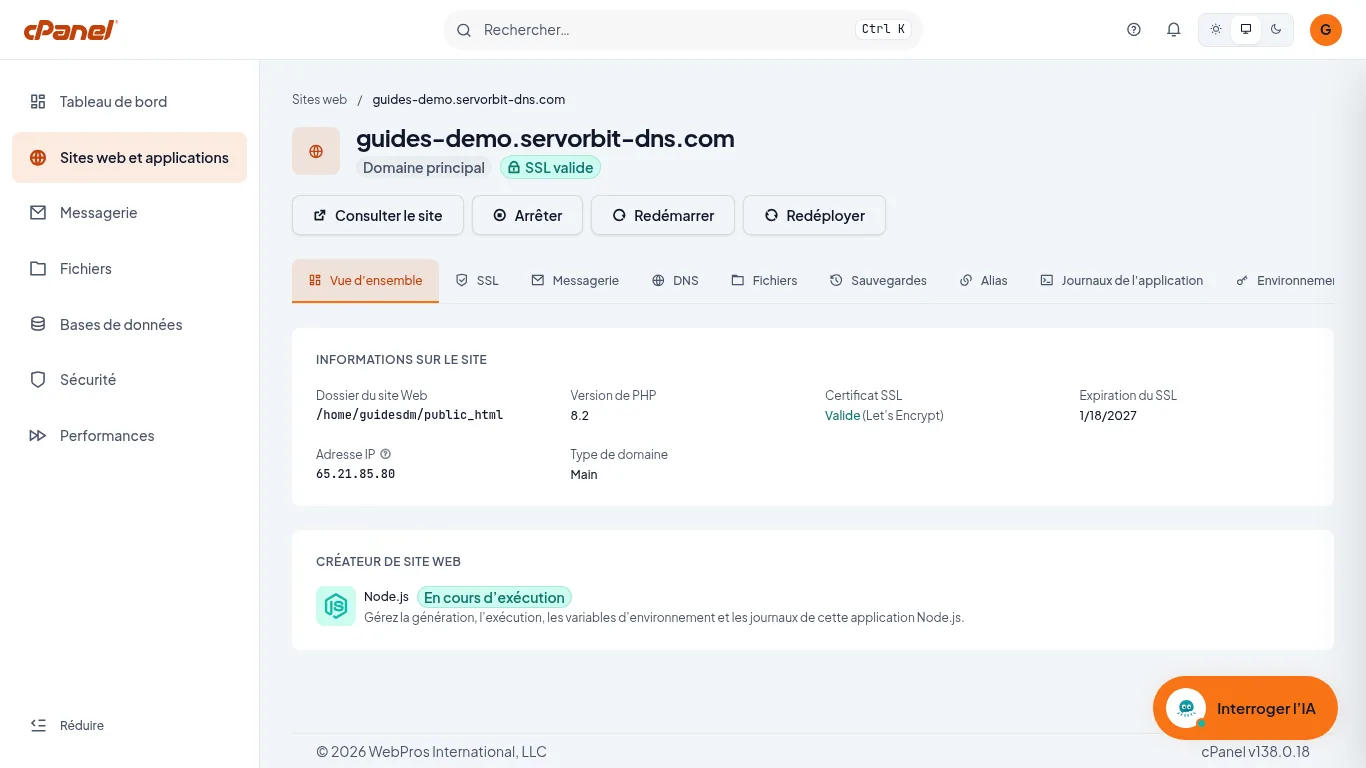 Capture d'écran cPanel : L'application Node.js en cours d'exécution