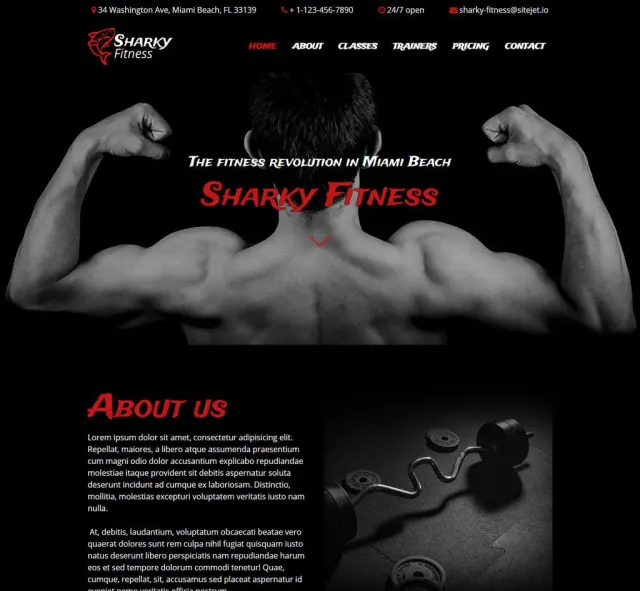 Aperçu du modèle Sharky Fitness